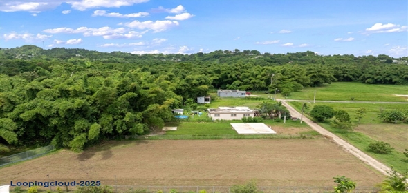 Bo Guayabo- Carr 411 KM HM 2.0- Sector Miguel Correa, Aguada, Puerto Rico, 00602 Adjuntas Puerto Rico, 00602 | 61413, Flat lot in Guayabo, Aguada