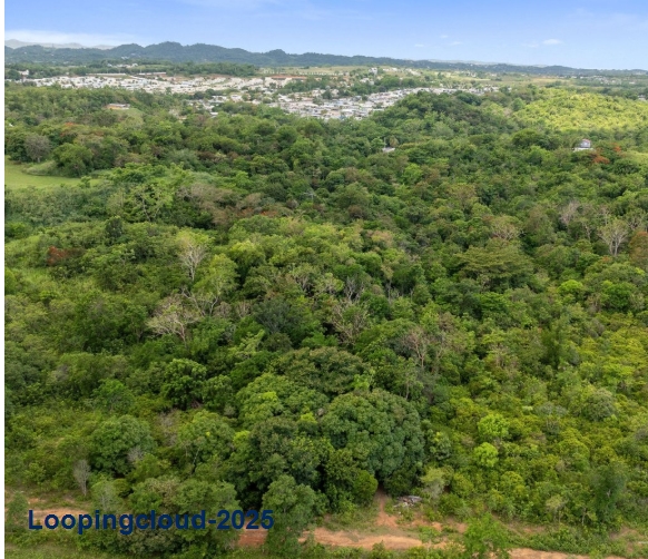 60369, Where Privacy Meets Paradise