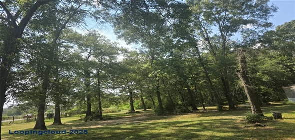 22877 Hughey Lane New Caney Texas, 77357 | Exclusive Manufactured Home