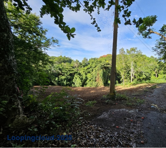 53208, Land ready to be built!