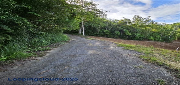 Bo. Victoria, Aguadilla, Puerto Rico Aguadilla Puerto Rico, 00605 | 53208, Land ready to be built!