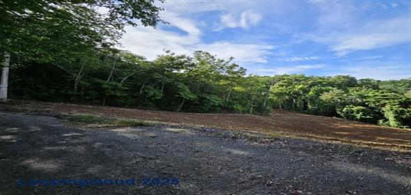 Bo. Victoria, Aguadilla, Puerto Rico Aguadilla Puerto Rico, 00605 | 53208, Land ready to be built!
