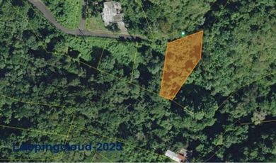 Bo. Victoria, Aguadilla, Puerto Rico , Aguadilla Puerto Rico                                                                                          00605