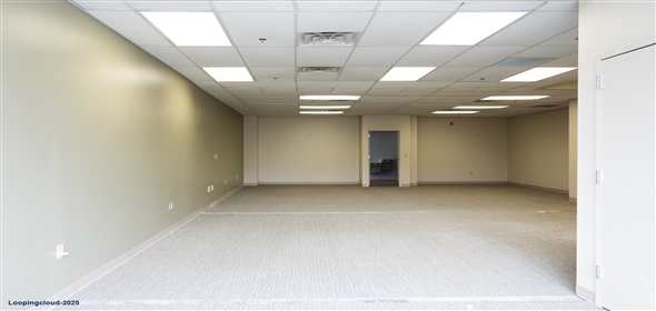 1111 Park Ave Baltimore Maryland, 21201 | ReNew Mt. Vernon Apartments