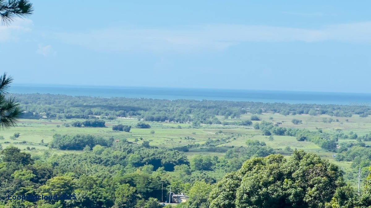 Restaurant for Sale in Añasco Puerto Rico 00610