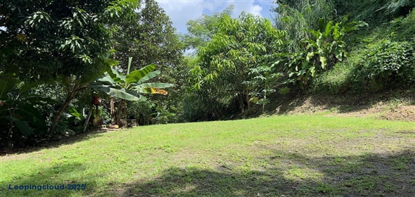 Km 2.4 CARR 402 Añasco Puerto Rico, 00610 | Commercial Building with Permits for Restaurant or Bar