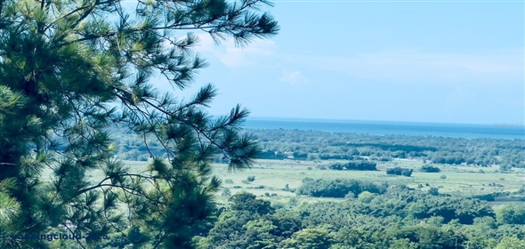 Km 2.4 CARR 402 Añasco Puerto Rico, 00610 | Commercial Building with Permits for Restaurant or Bar