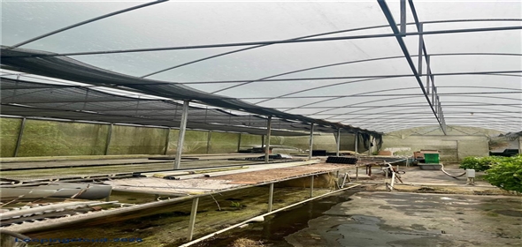 Carretera 119 San Germán Puerto Rico, 00683 | Prime Agricultural Opportunity -- Bo. Rosario, San Germán, Puerto Rico