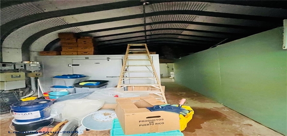 Carretera 119 San Germán Puerto Rico, 00683 | Prime Agricultural Opportunity -- Bo. Rosario, San Germán, Puerto Rico