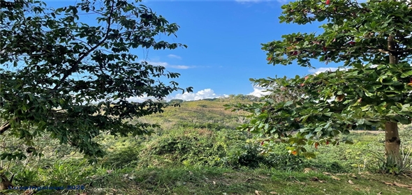 Carretera 119 San Germán Puerto Rico, 00683 | Prime Agricultural Opportunity -- Bo. Rosario, San Germán, Puerto Rico