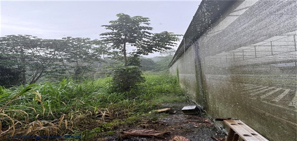 Carretera 119 San Germán Puerto Rico, 00683 | Prime Agricultural Opportunity -- Bo. Rosario, San Germán, Puerto Rico