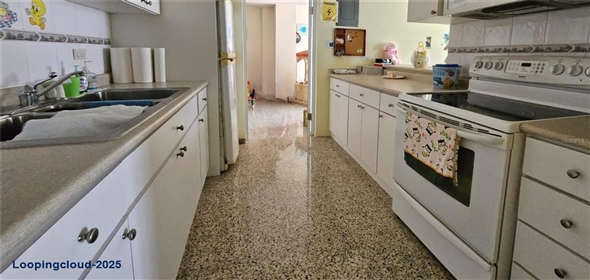 CALLE 8 URB COVADONGA IN3 Toa Baja Puerto Rico, 00949 | Versatile Commercial/Institutional Space in Accessible Residential Area