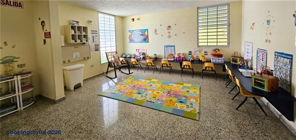 CALLE 8 URB COVADONGA IN3 Toa Baja Puerto Rico, 00949 | Versatile Commercial/Institutional Space in Accessible Residential Area