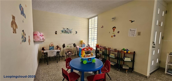 CALLE 8 URB COVADONGA IN3 Toa Baja Puerto Rico, 00949 | Versatile Commercial/Institutional Space in Accessible Residential Area