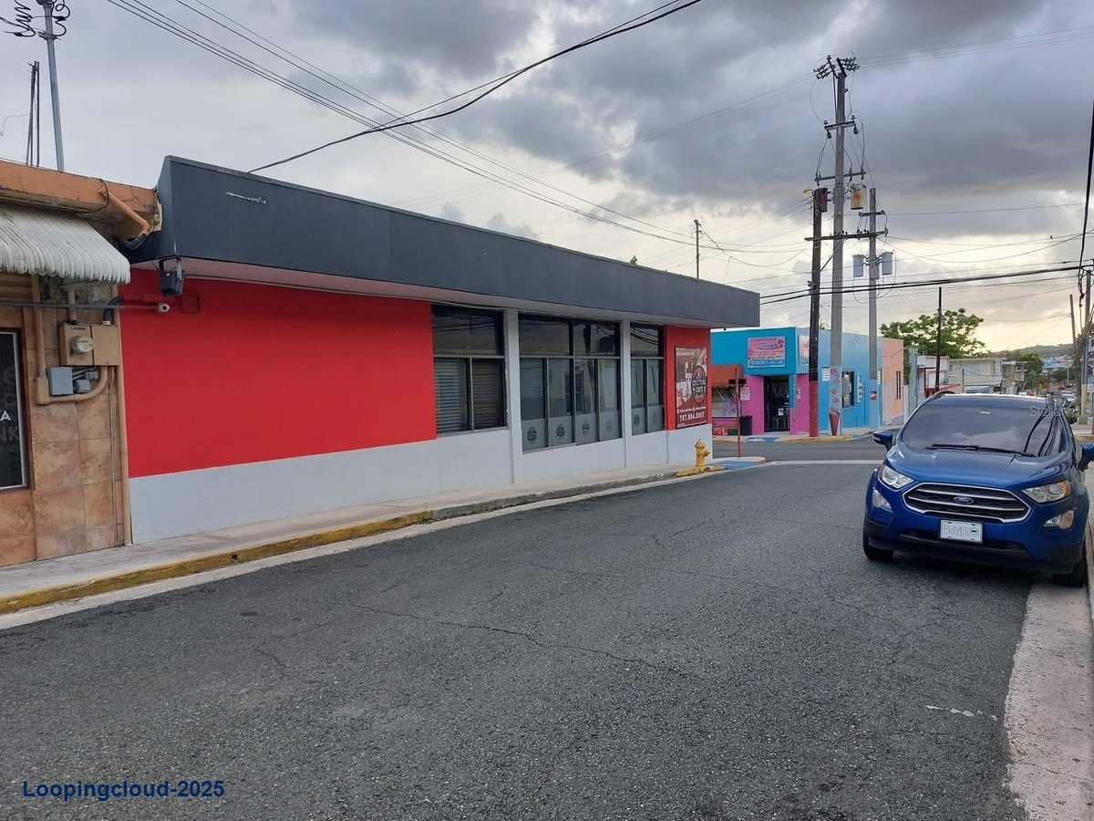 Commercial Property for Sale in Sabana Grande Puerto Rico 00637