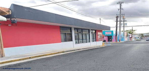 364 SABANA GRANDE Sabana Grande Puerto Rico, 00637 | Investment opportunity in Sabana Grande