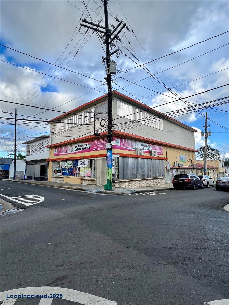 Commercial Property for Sale in San Lorenzo Puerto Rico 00754