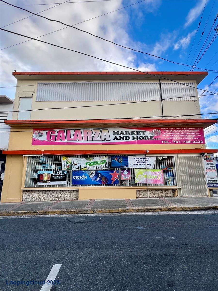 Commercial Property for Sale in San Lorenzo Puerto Rico 00754