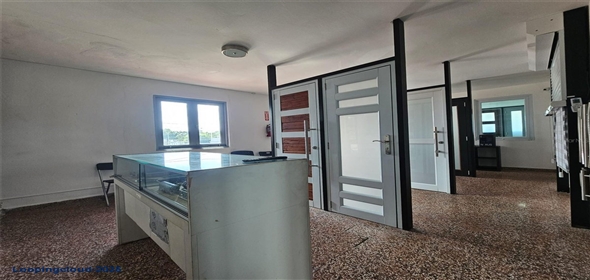 CARR 2 KM 43.8 2 Adjuntas Puerto Rico, 00692 | Business opportunity for sale!