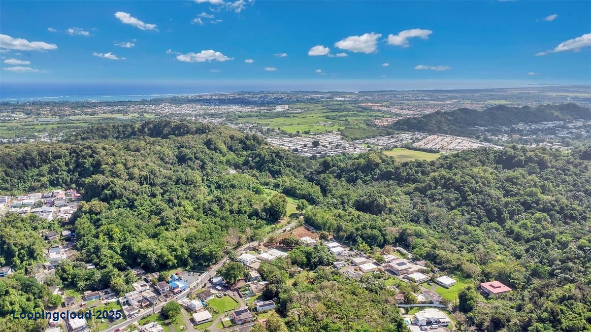 Commercial Property for Sale in Dorado Puerto Rico 00646