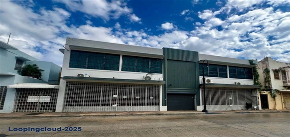 123 CALLE RAMON E BETANCES Mayagüez Puerto Rico, 00680 | Exclusive Property For Sale