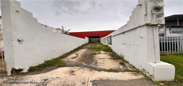 123 CALLE RAMON E BETANCES Mayagüez Puerto Rico, 00680 | Exclusive Property For Sale