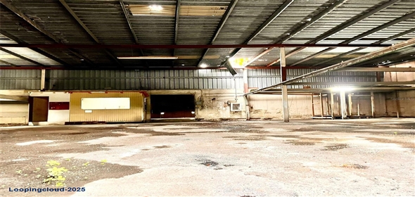 123 CALLE RAMON E BETANCES Mayagüez Puerto Rico, 00680 | Exclusive Property For Sale