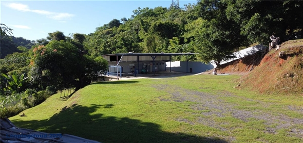 Carr 2 KM 139 Adjuntas Puerto Rico, 00602 | Prime Opportunity for Entrepreneurs