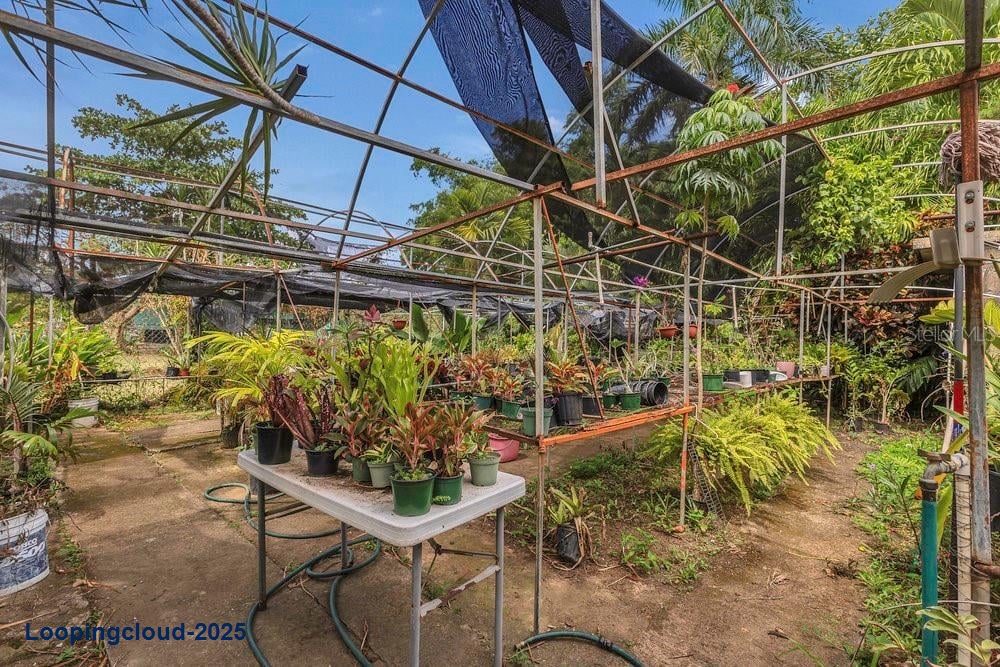 Commercial Property for Sale in Patillas Puerto Rico 00723