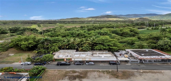 BO LOS POLLOS SECTOR PROVIDENCIA Patillas Puerto Rico, 00723 | BO LOS POLLOS SECTOR PROVIDENCIA