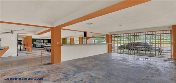 BO LOS POLLOS SECTOR PROVIDENCIA Patillas Puerto Rico, 00723 | BO LOS POLLOS SECTOR PROVIDENCIA