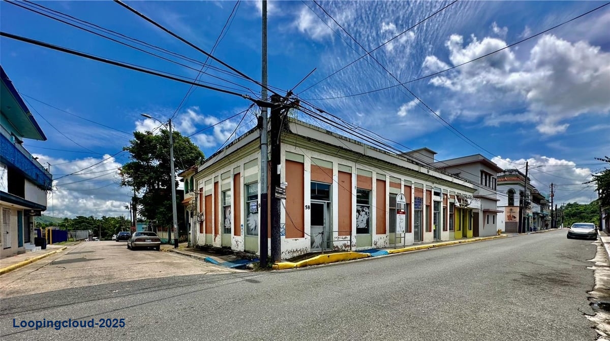 Commercial Property for Sale in Juncos Puerto Rico 00777
