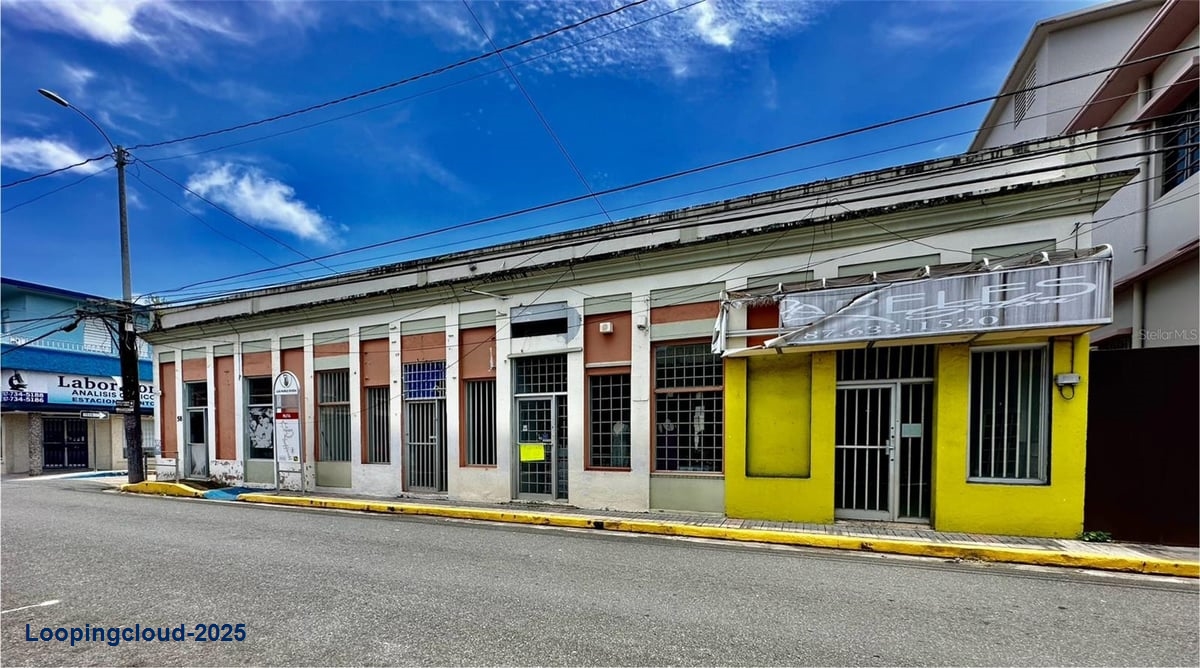 Commercial Property for Sale in Juncos Puerto Rico 00777