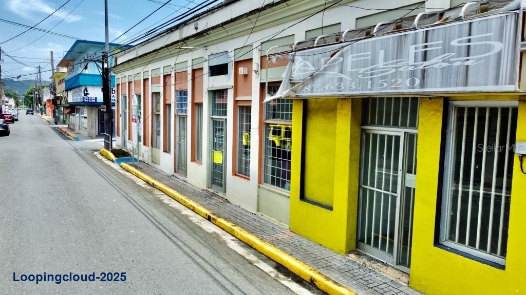 Commercial Property for Sale in Juncos Puerto Rico 00777