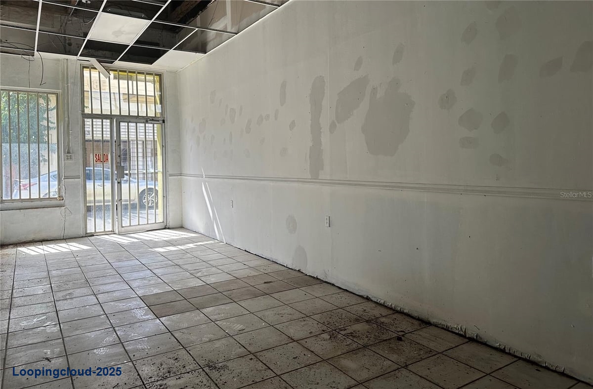 Commercial Property for Sale in Juncos Puerto Rico 00777