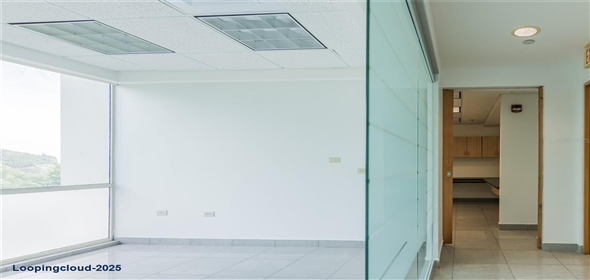 995 METRO MEDICAL CENTER CLL REV DOM MARRERO Bayamon Puerto Rico, 00959 | PRIME OFFICE FOR SALE: 1,021 SF