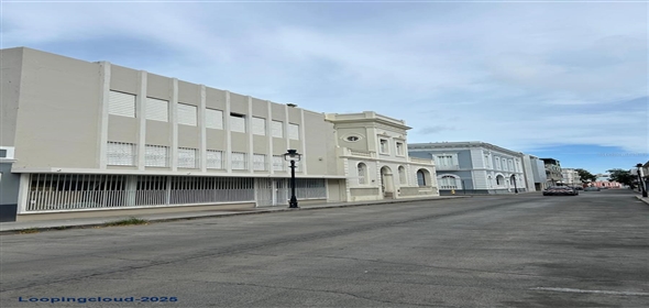 #56 MAYOR STREET Ponce Puerto Rico, 00731 | Commercial property for sale in Ponce