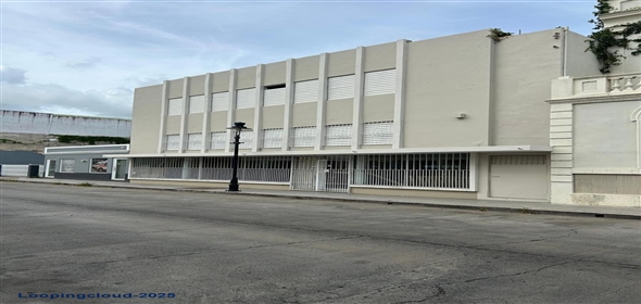 #56 MAYOR STREET Ponce Puerto Rico, 00731 | Commercial property for sale in Ponce
