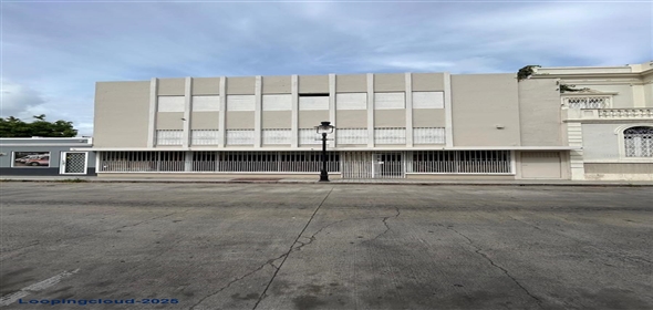 #56 MAYOR STREET Ponce Puerto Rico, 00731 | Commercial property for sale in Ponce