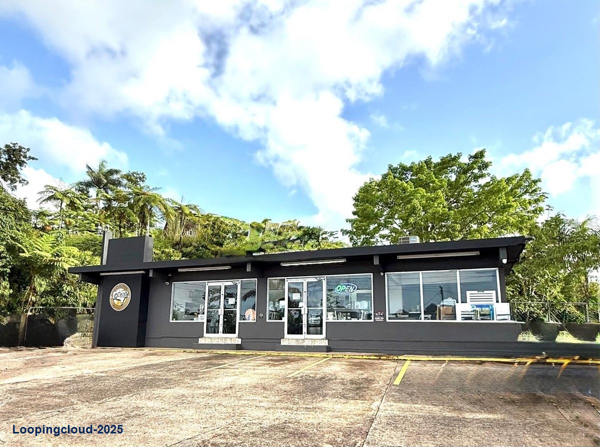 Commercial Property for Sale in Utuado Puerto Rico 00641