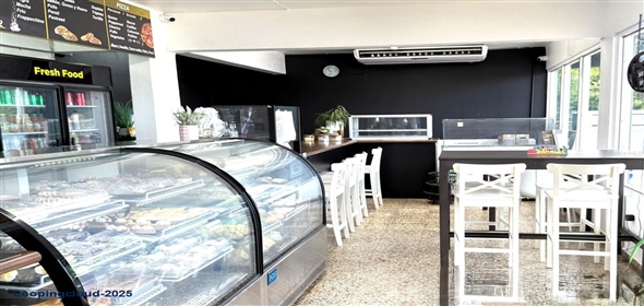 Carr 602 CARR 602 Utuado Puerto Rico, 00641 | Excellent Business Opportunity