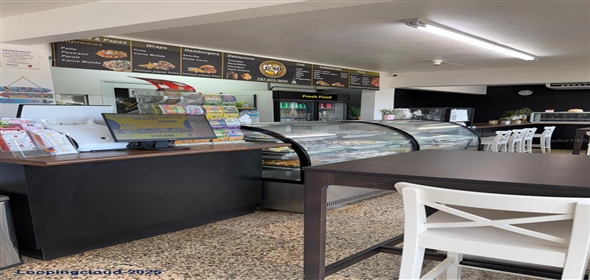 Carr 602 CARR 602 Utuado Puerto Rico, 00641 | Excellent Business Opportunity