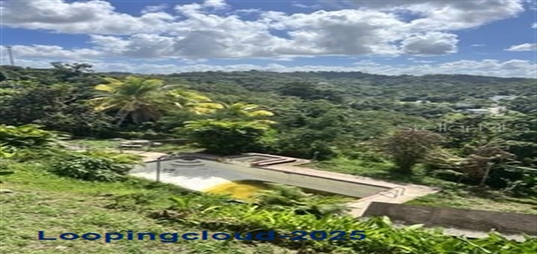 Carr. 844 Km4.5 Int. CUPEY BAJO San Juan Puerto Rico, 00926 | Exclusive Property For Sale