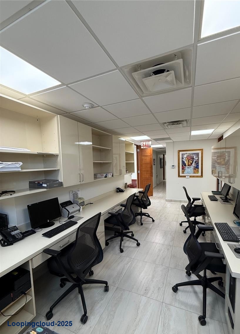 Commercial Property for Sale in ESQUIN Puerto Rico 00984