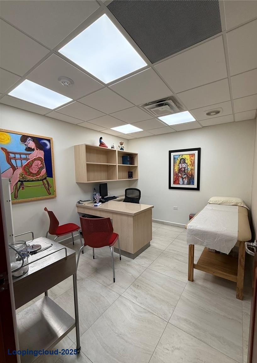 Commercial Property for Sale in ESQUIN Puerto Rico 00984