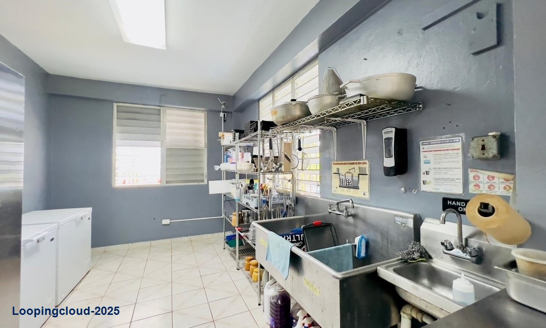 Commercial Property for Sale in ANASCO Puerto Rico 00610