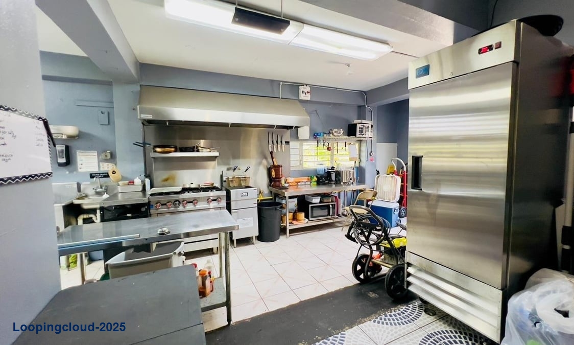 Commercial Property for Sale in ANASCO Puerto Rico 00610