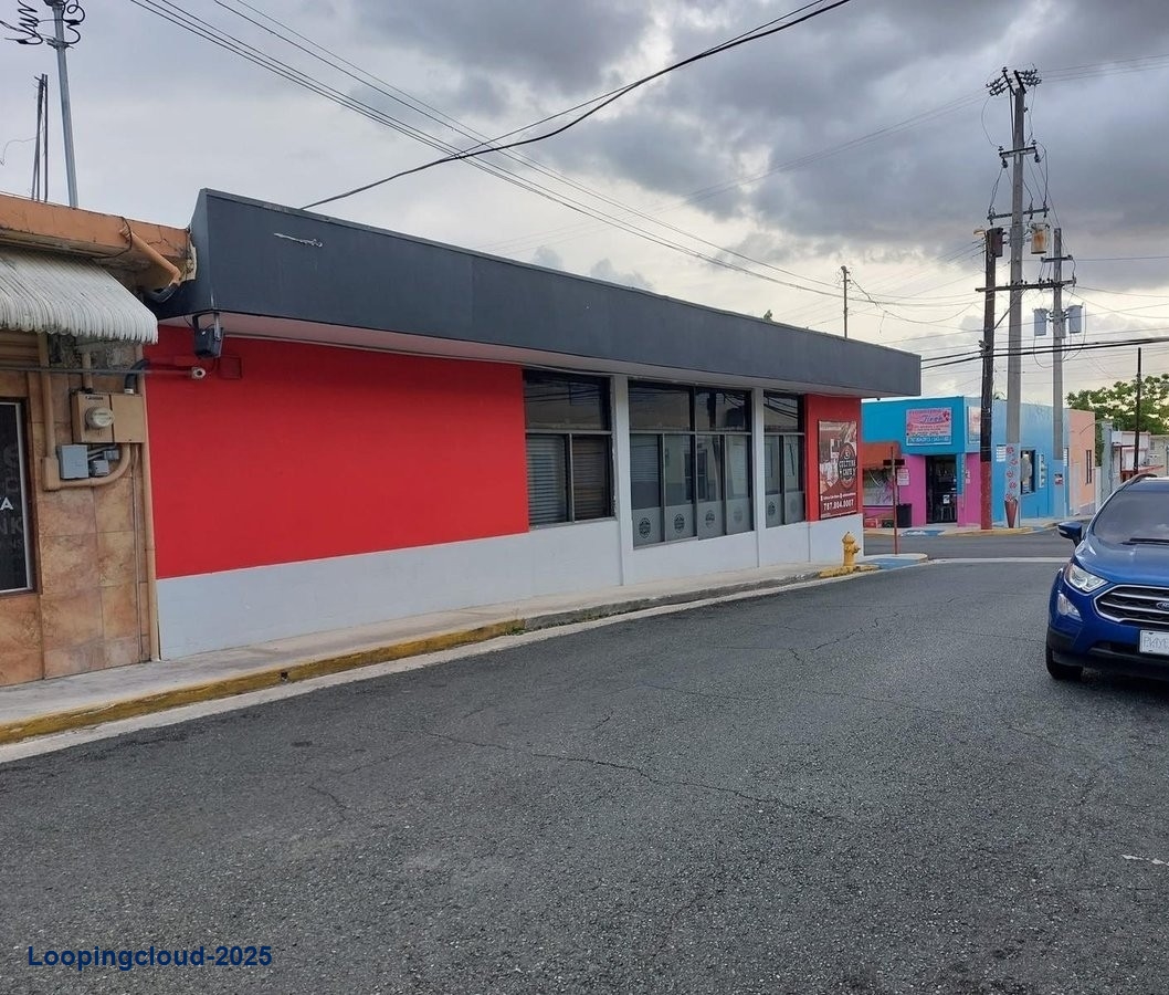 Commercial Property for Sale in SABANA GRANDE Puerto Rico 00637
