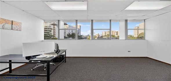 1607 AVE PONCE DE LEON #Um24 San Juan Puerto Rico, 00909 | Incredible Office Space