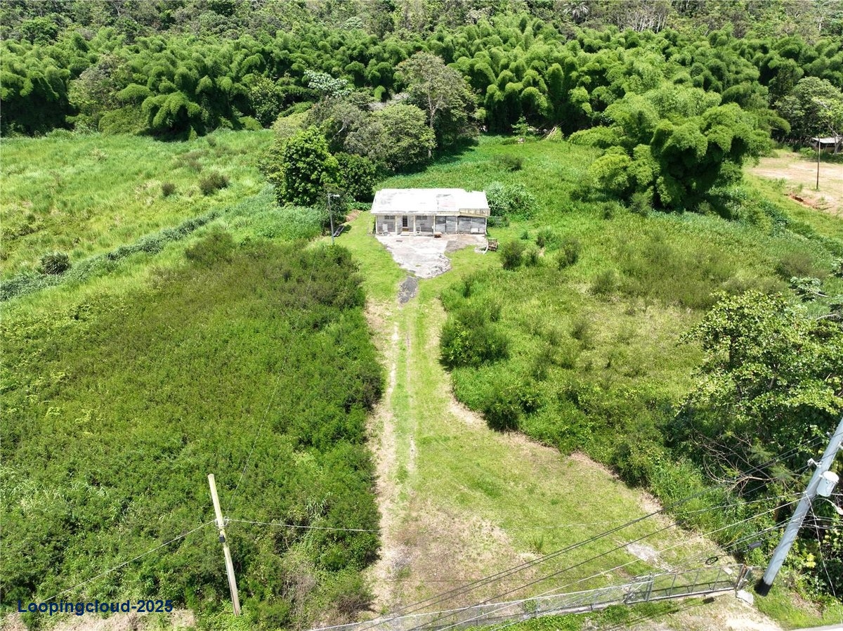 Land for Sale in San Lorenzo Puerto Rico 00754